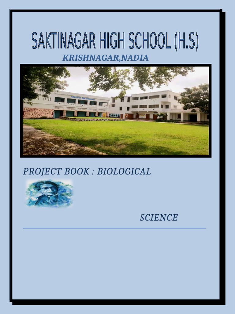 Shs Project by Sumon 3 | PDF