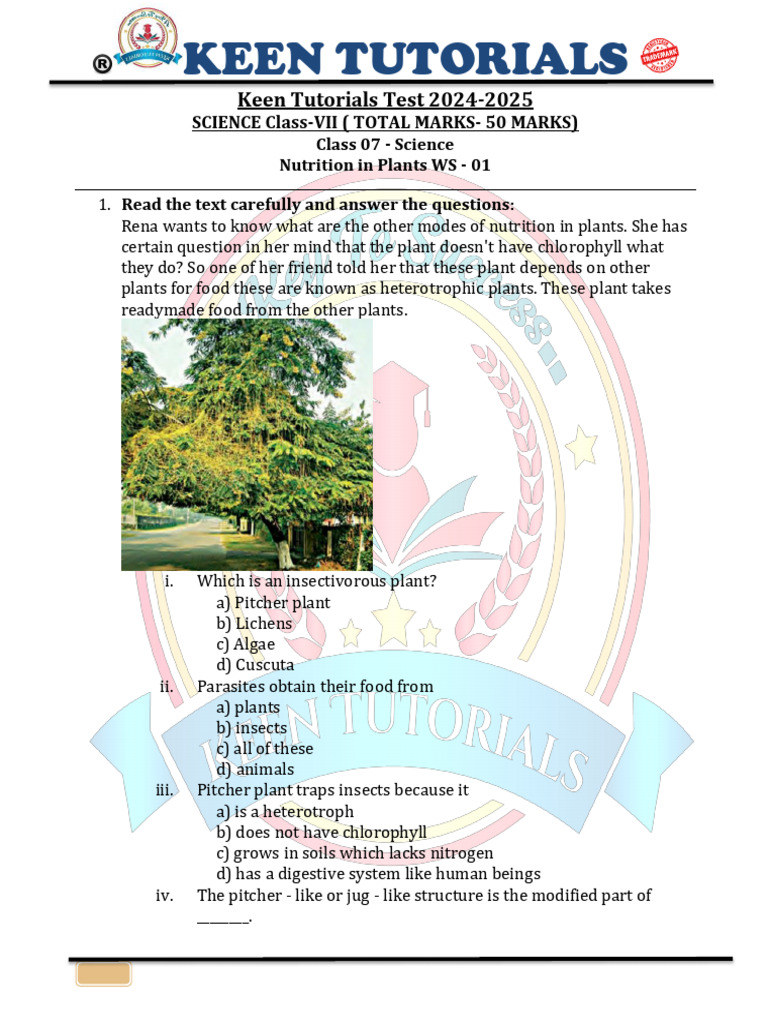 KT Test SCIENCE Class VII 2024-25 | PDF | Digestion | Plants