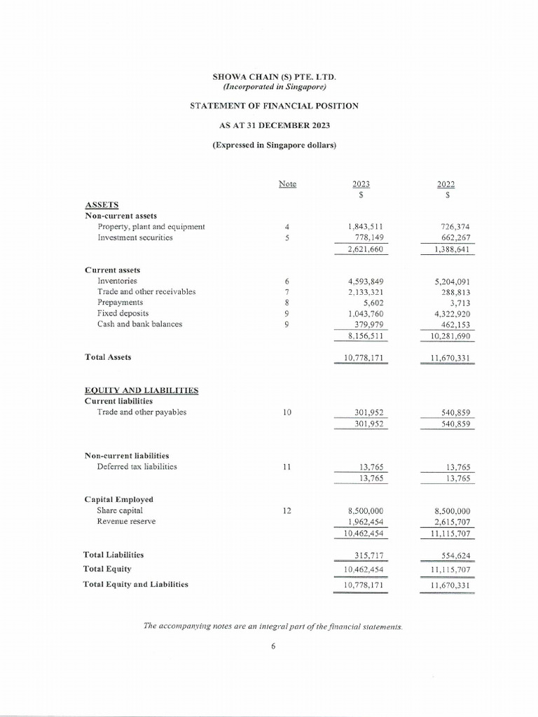 SCS Financial Report 2023 & 2022 | PDF