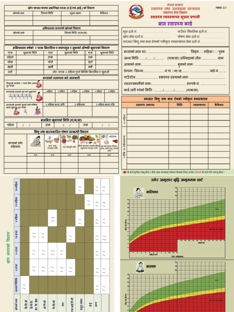 Hmis 2.1 Revised Ag 1 | PDF