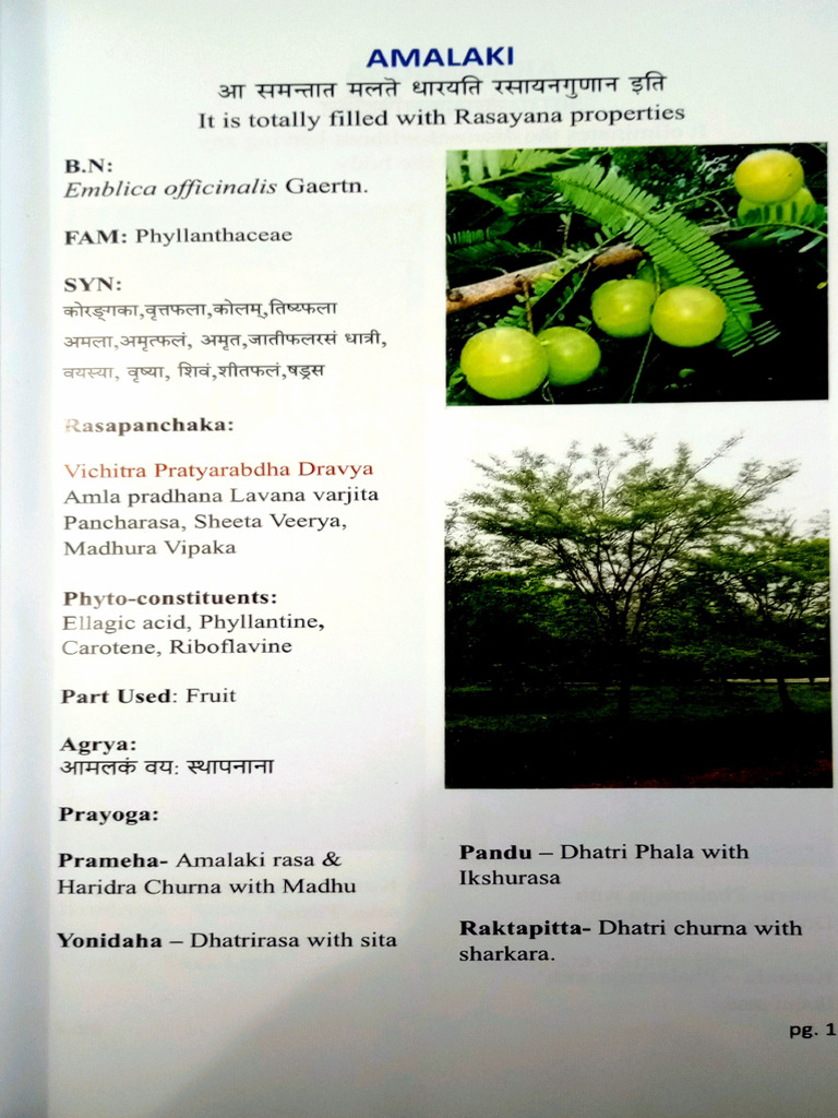 DG All Kavitha Mam | PDF