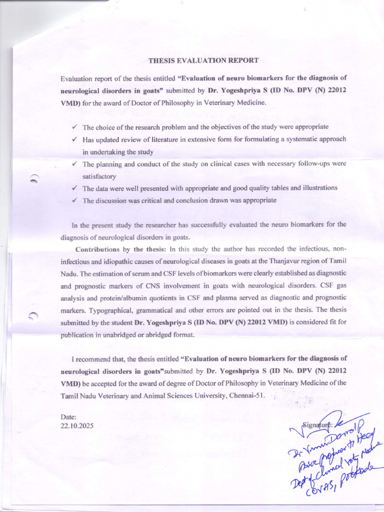 Evaluation Report | PDF