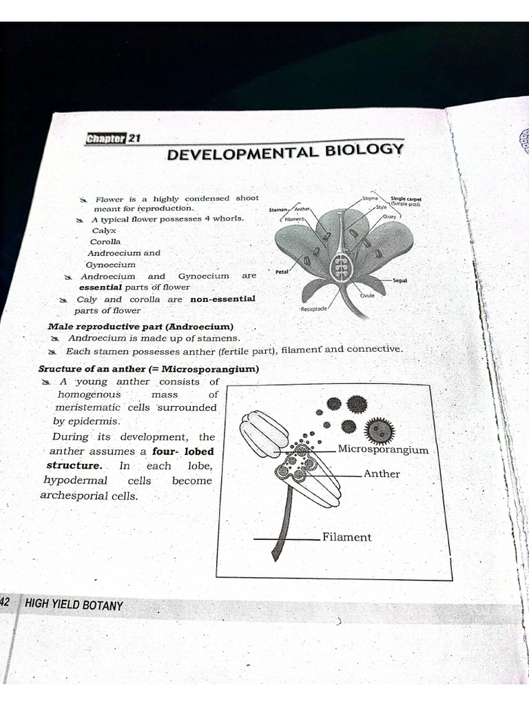 Developmental Biology | PDF