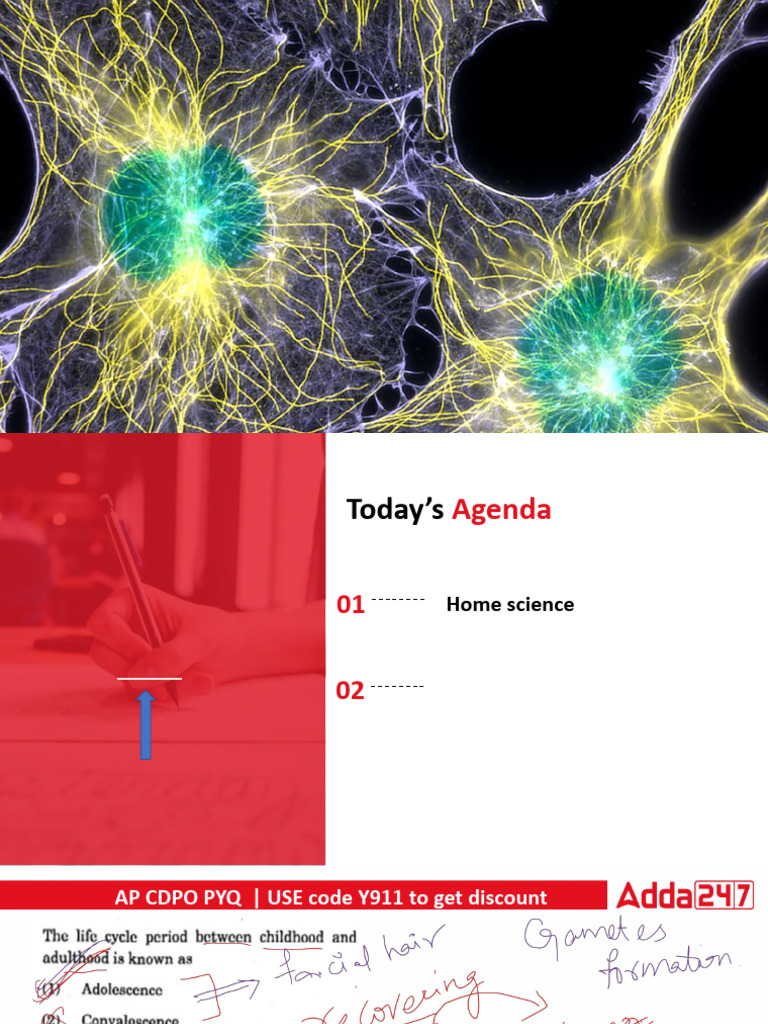 LC | PDF
