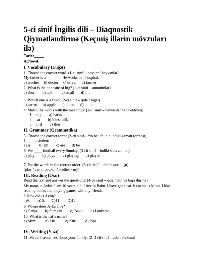 5th Grade English Diagnostic Assessment | PDF