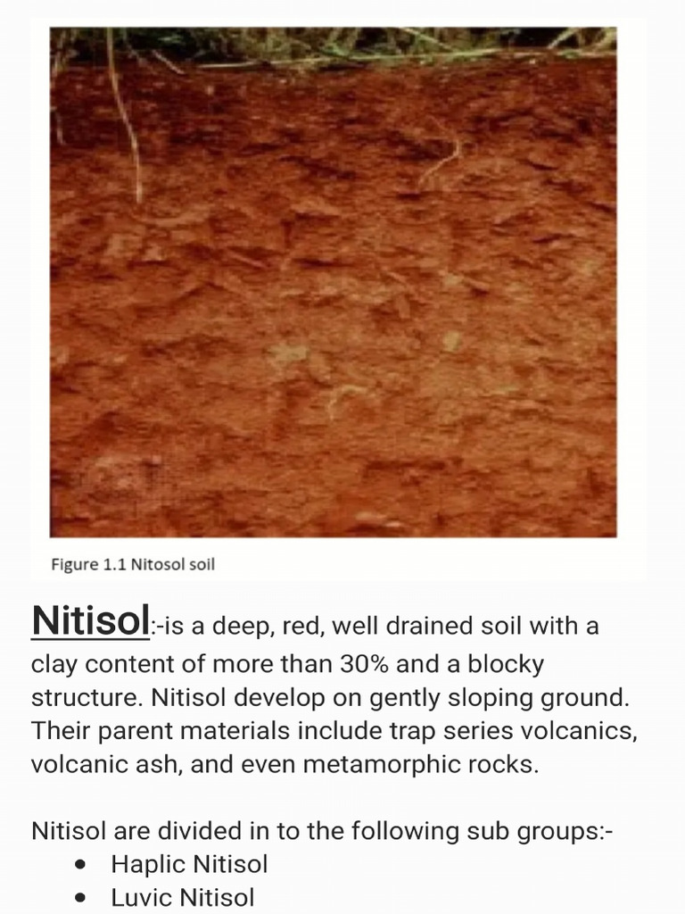 Nitisol | PDF