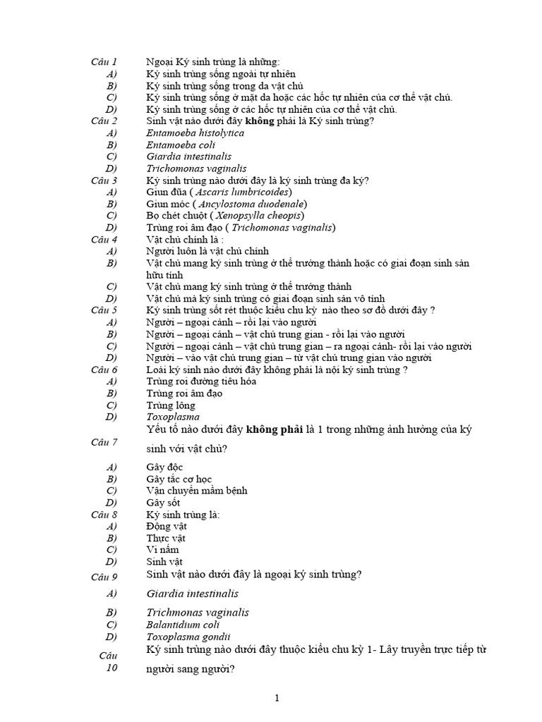TN KST | PDF