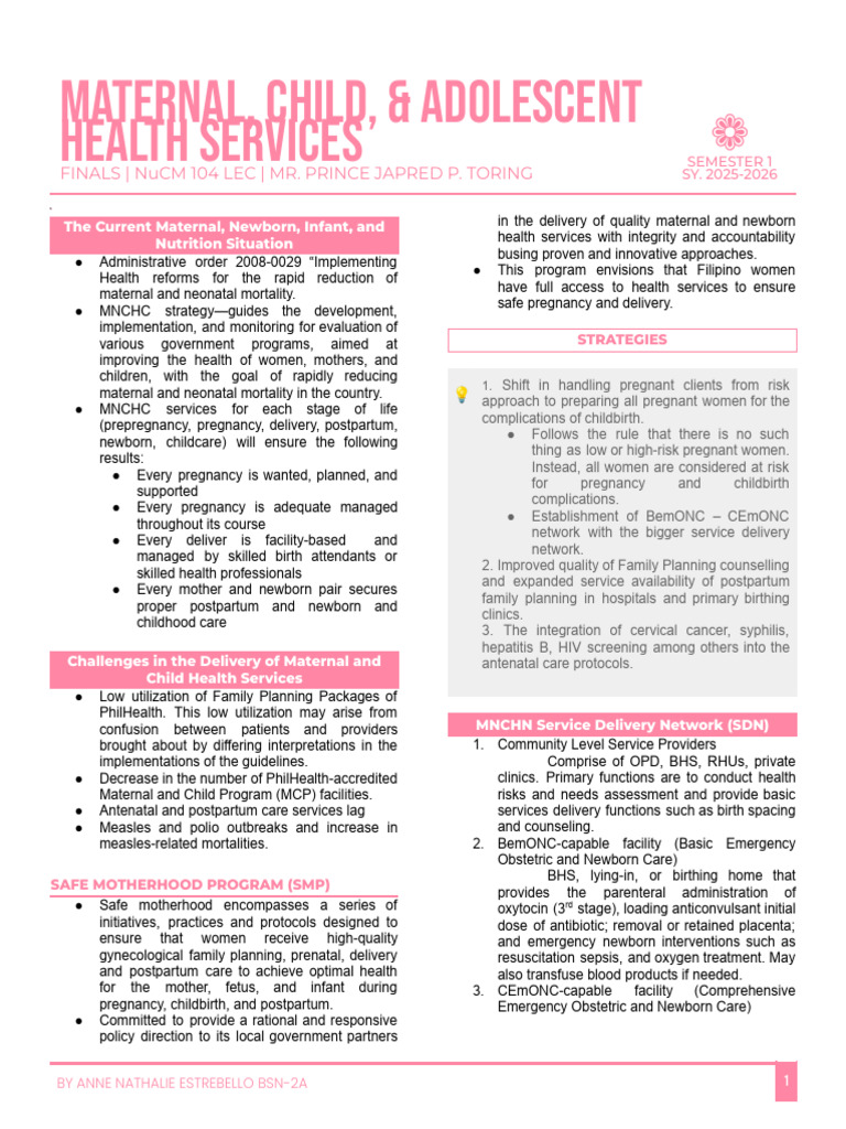 Maternal and Child Health Strategies | PDF | Childbirth | Birth Control