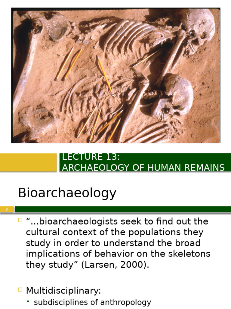 Ethical Practices in Bioarchaeology | PDF | Skull | Archaeology