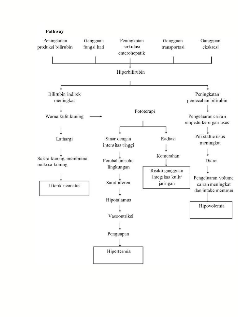 Patway Hiperglikemi | PDF