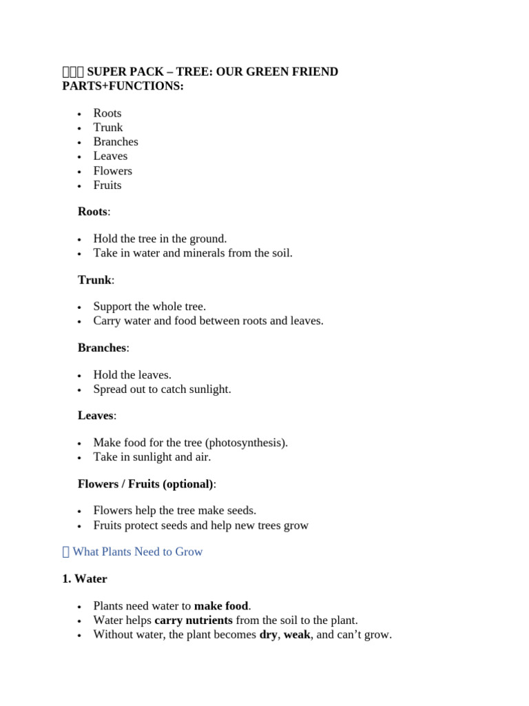 Tree Anatomy and Growth Essentials | PDF