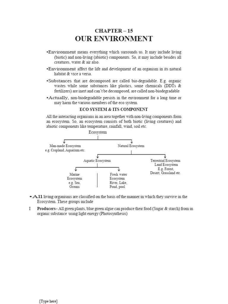Understanding Ecosystems and Environmental Issues | PDF | Ozone ...