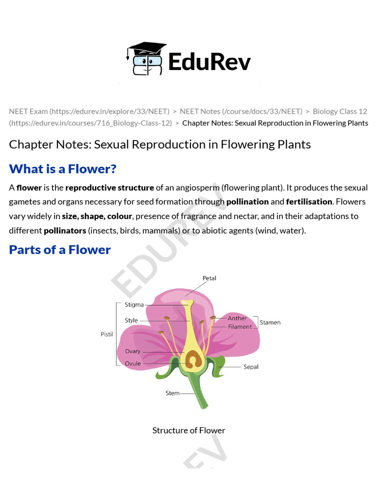 Sexual Reproduction in Flowering Plants Chapter Notes - Biology Class ...