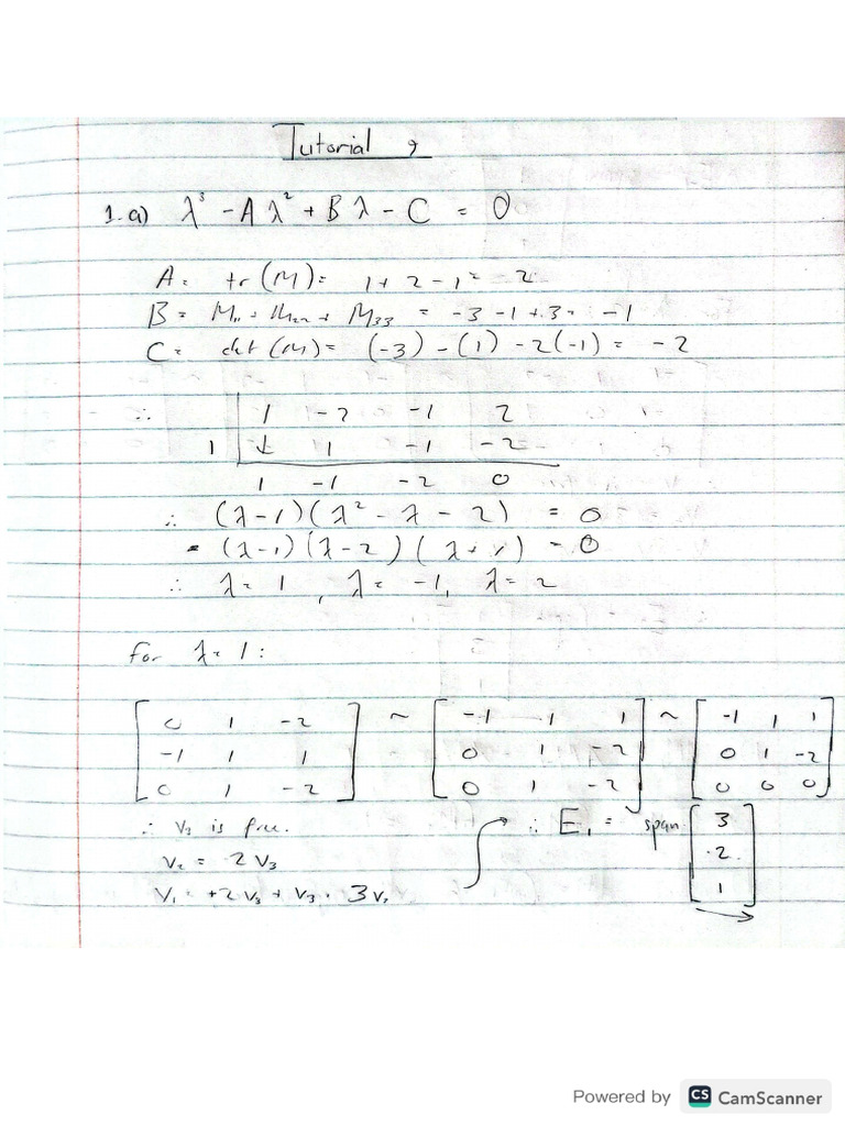 MATH248 Tutorial9 | PDF