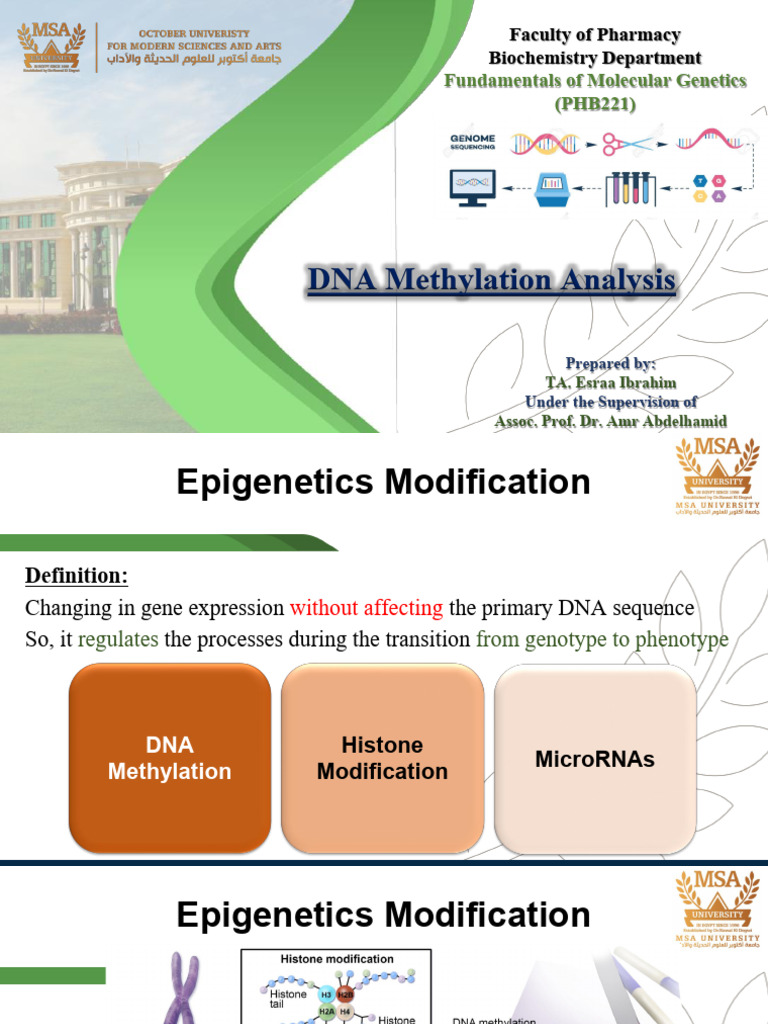 PHB221 Lab (9) DNA Methylation | PDF | Dna Methylation | Epigenetics