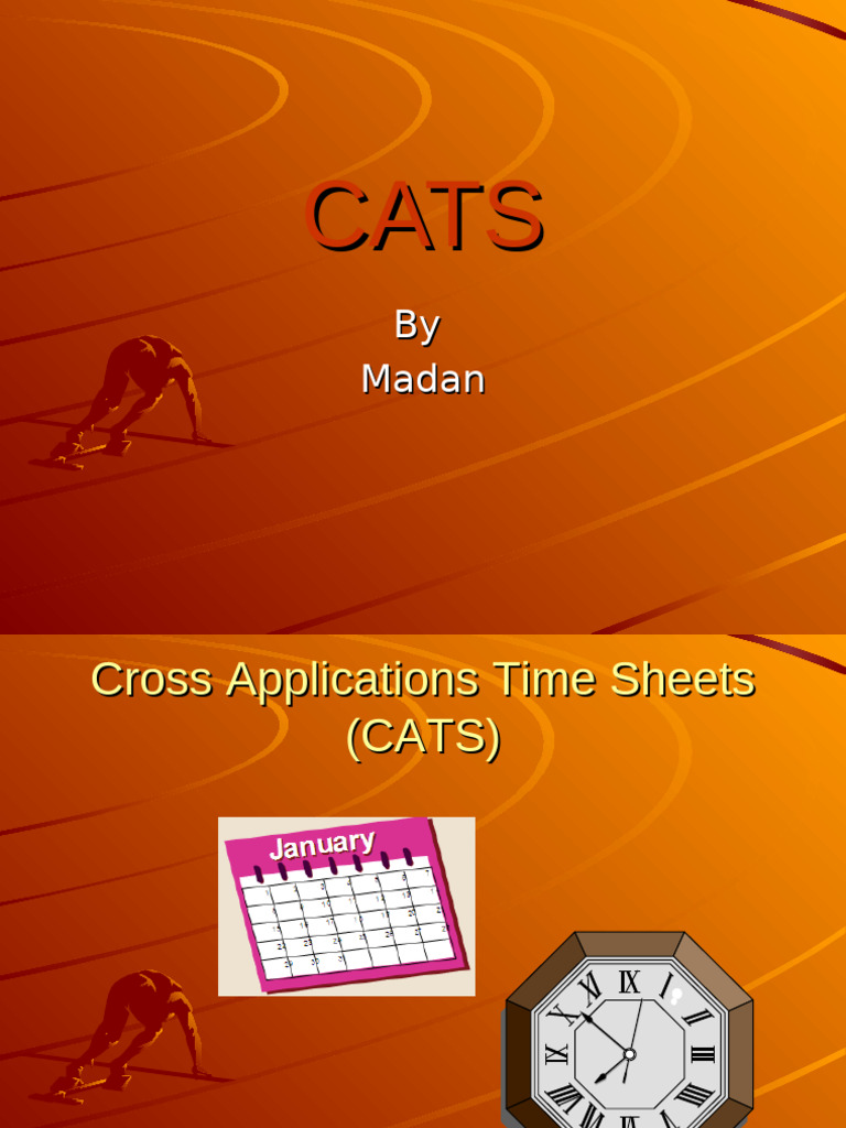 SAP CATS Overview and Configuration Guide | PDF | Data Management ...