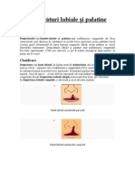 Embriologie Si Genetica