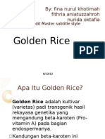 Golden Rice