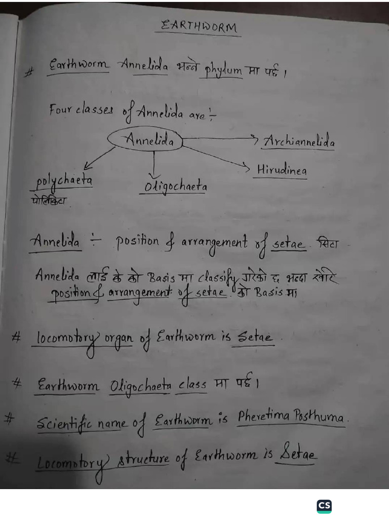 Earthworm Written Note7 | PDF