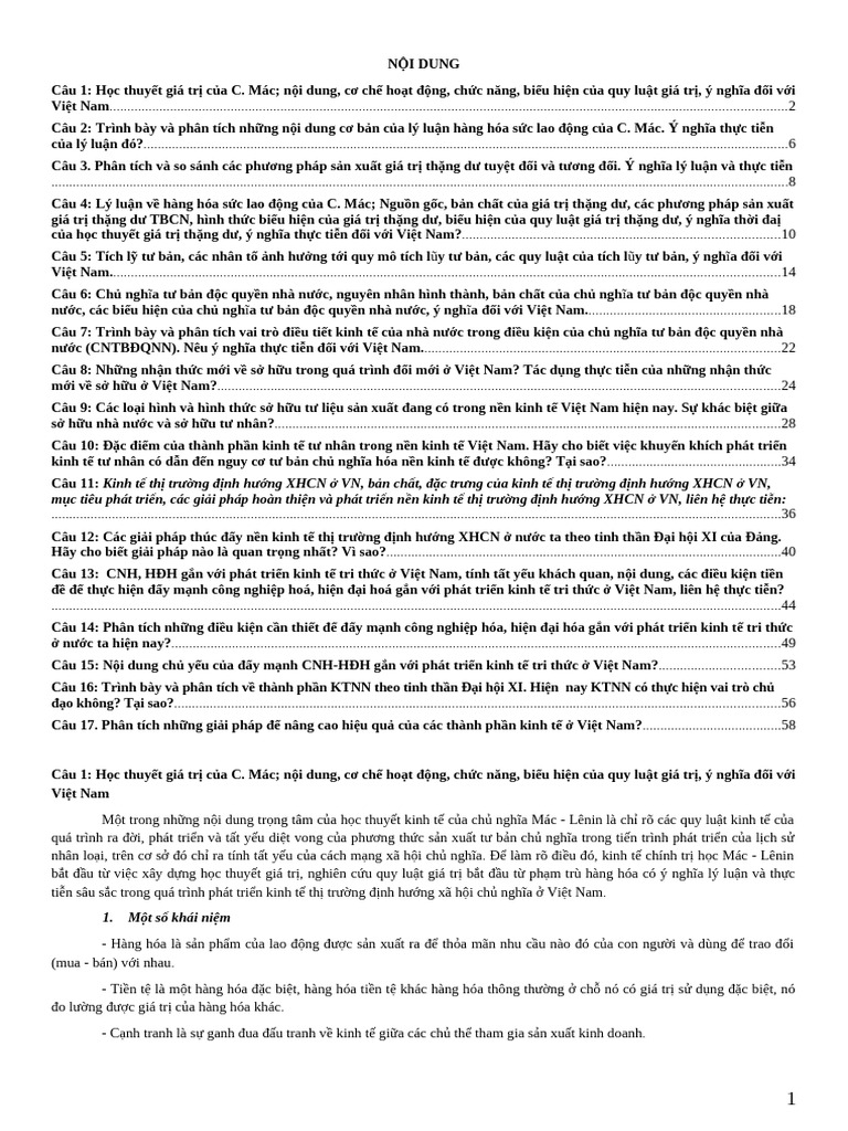 17 Câu Ôn Thi KTCT | PDF