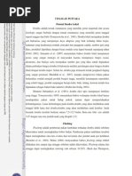 Download domba 1 by Diswa Dycha Disa SN96788725 doc pdf