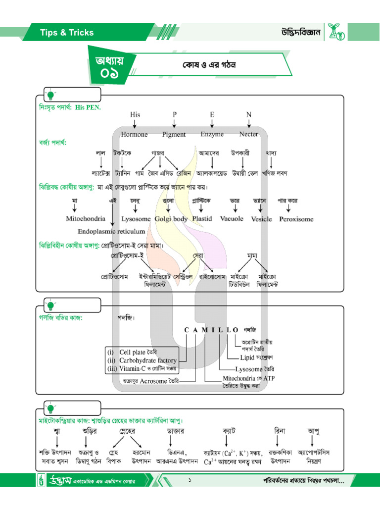 Botany All Chapter Mnemonic For HSC 2025 | PDF