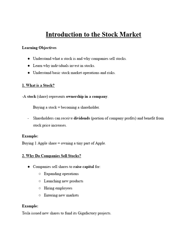 Beginner's Guide to Stock Market Basics | PDF