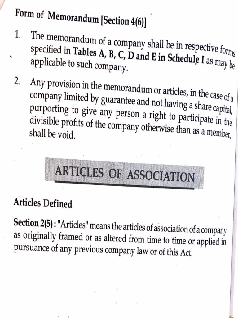 Company Memorandum and Articles Guidelines | PDF | Legal Liability ...