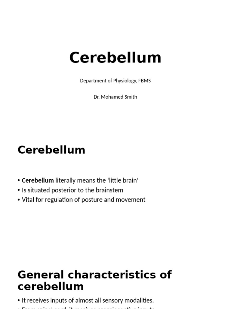 Understanding the Cerebellum's Functions | PDF | Cerebellum | Neuroscience