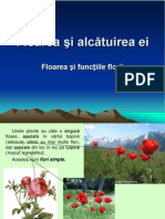 Lectie 10 Floarea Si Alcatuirea Ei