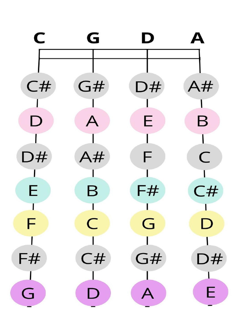 Viola Ft | PDF