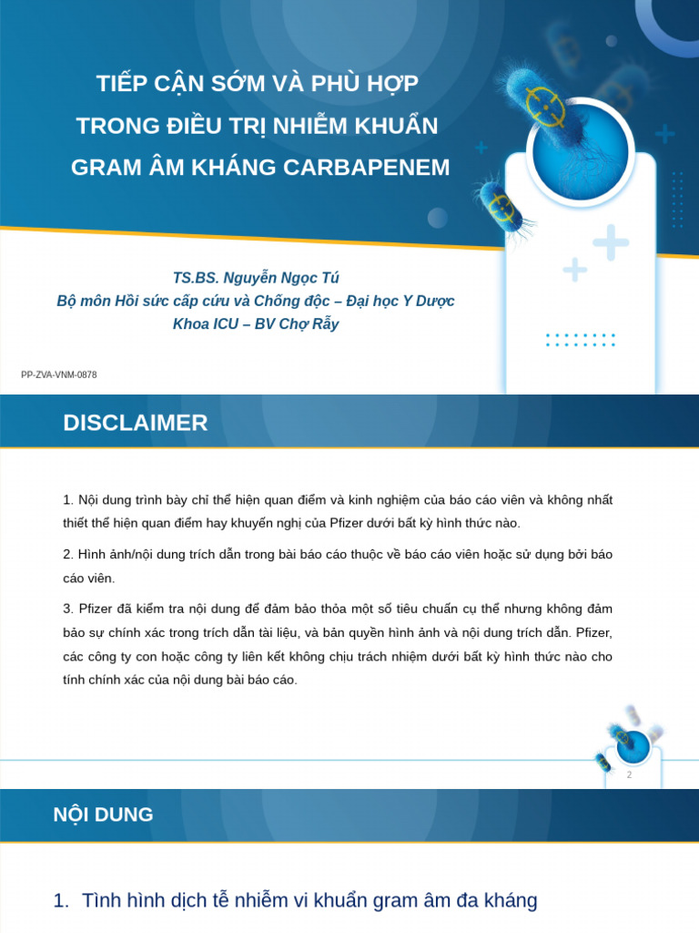 Presentation of DR NGUYEN NGOC TU 2 | PDF