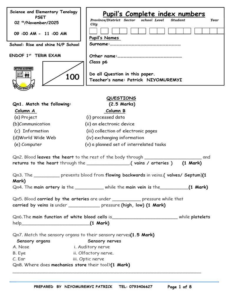 P6 Science Exam Paper - Term 1 2025 | PDF | Blood | Heart