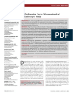 The Oculomotor Nerve Microanatomical And.23