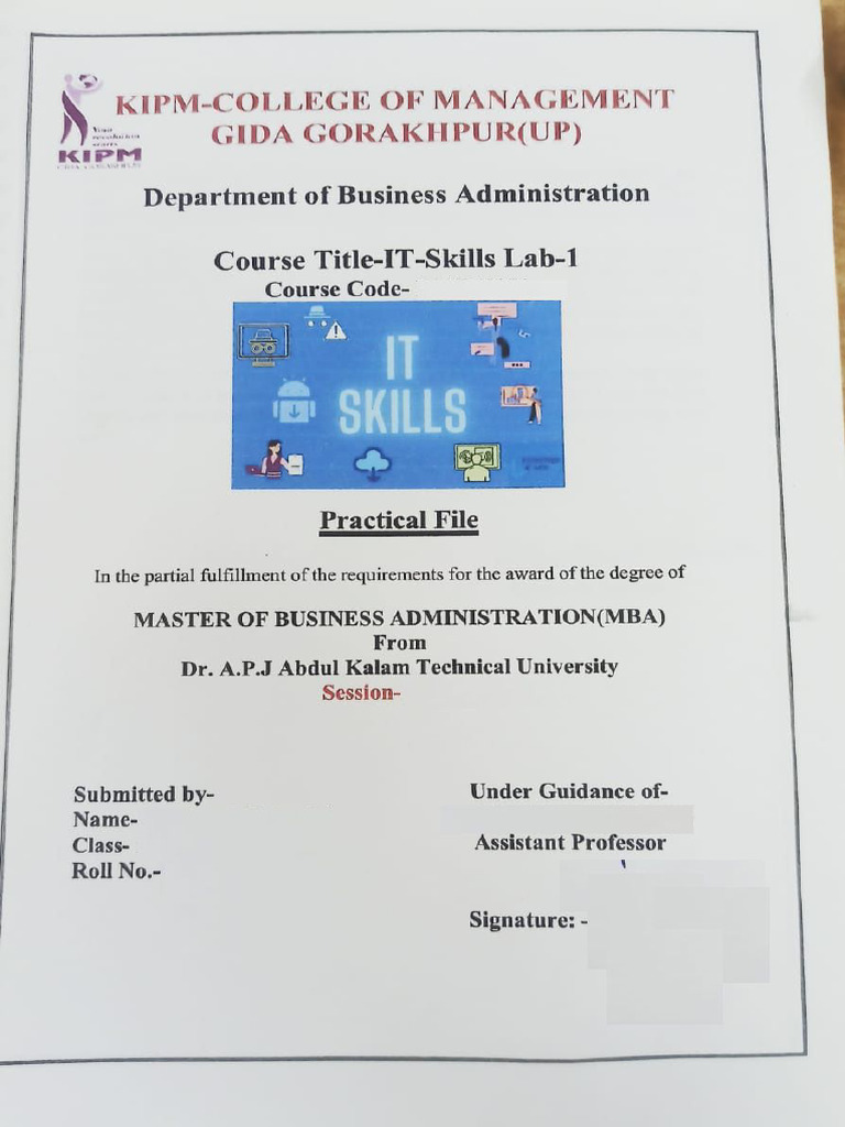 Sample of IT Skill Project File | PDF