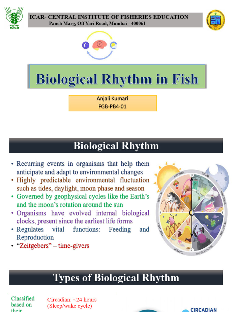 Biological Rhythms in Fish Explained | PDF | Circadian Rhythm | Clock