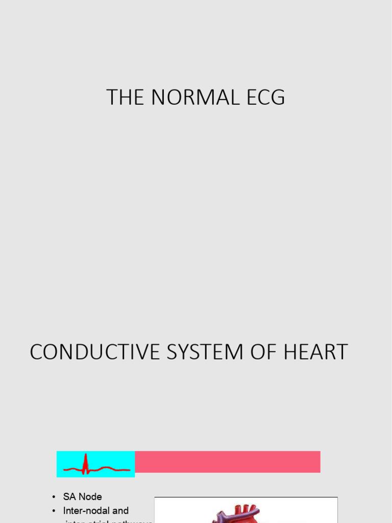 The normal ecg | PDF | Electrocardiography | Circulatory System