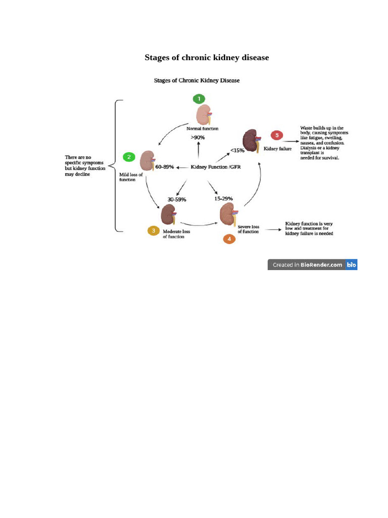 Stages of Chronic Kidney Disease | PDF