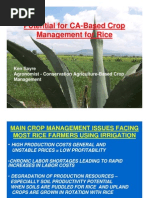 Understanding Bush Fallowing in Agriculture | PDF | Crop Rotation | Crops