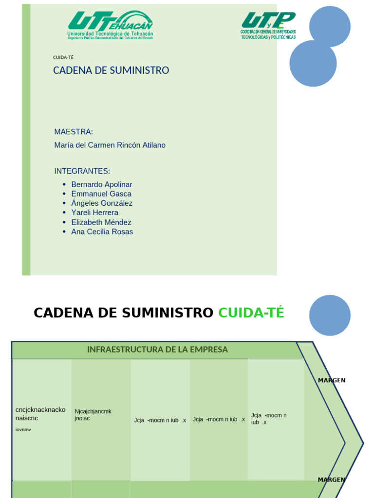 Estrategias en la Cadena de Suministro | PDF | Logística | Gestión de ...