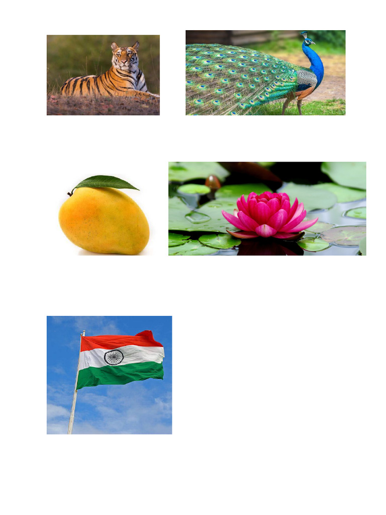 National Symbols | PDF