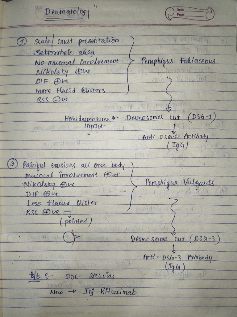 Dermatology Handwritten Notes by Dr. Narendra Highly Dence Notes | PDF