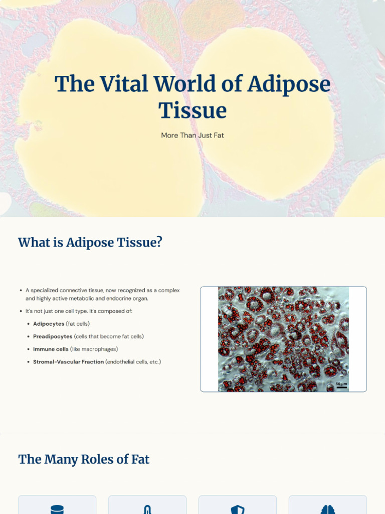 The Vital World of Adipose Tissue | PDF