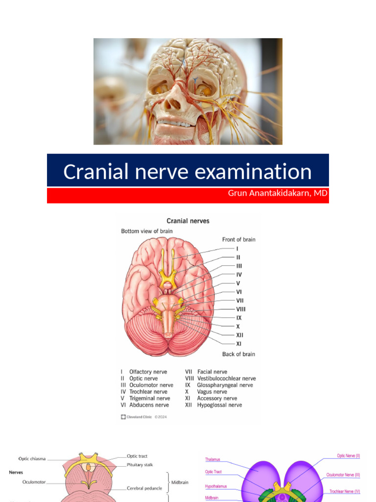 Comprehensive Cranial Nerve Exam Guide | PDF
