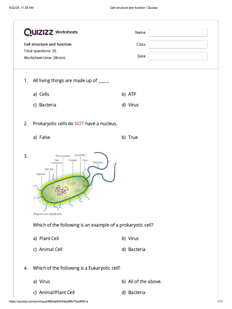 Cell Structure and Function Worksheet | PDF | Cell (Biology) | Cell ...