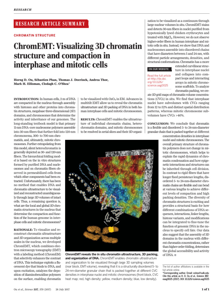 ChromEMT - Visualizing 3D Chromatin Structure and Compaction in ...