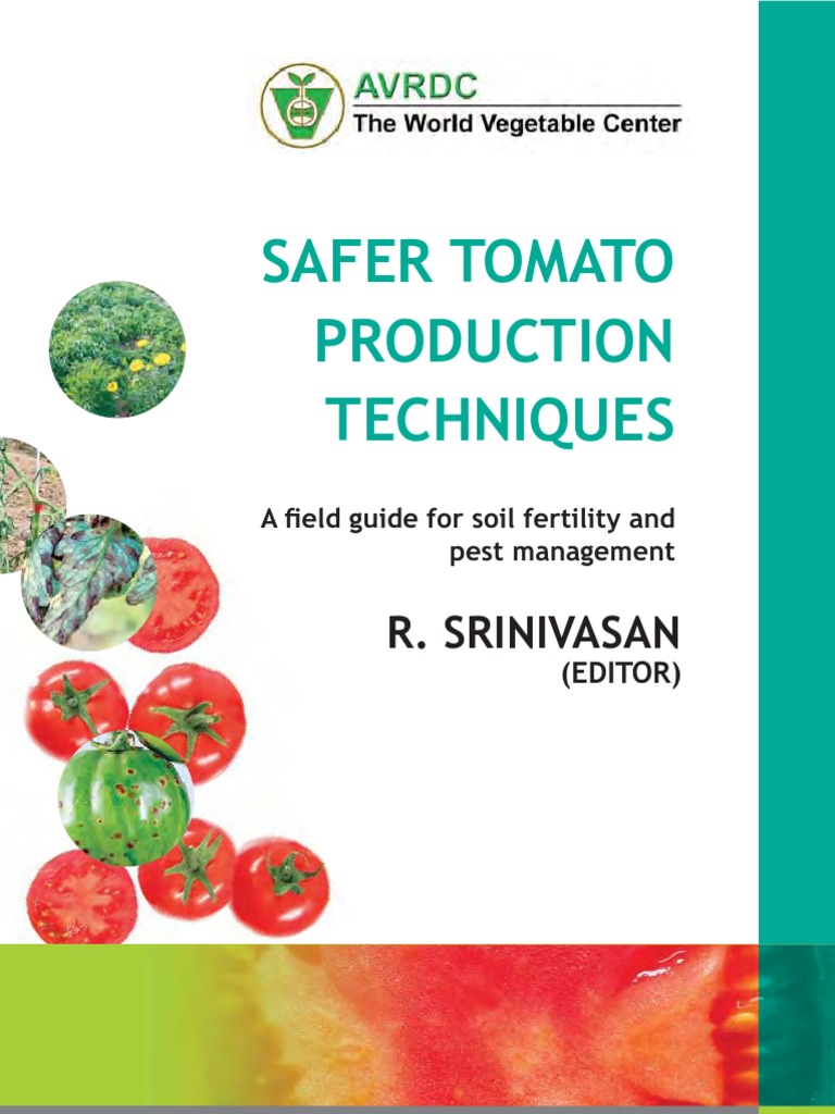Safer Tomato Production Guide Fertilizer Plant Nutrition
