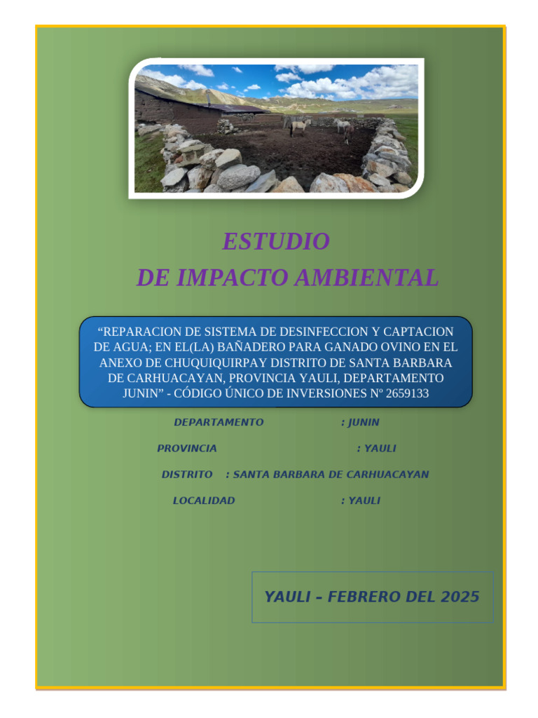 Estudio de Impacto Ambiental en Yauli | PDF | Residuos | Entorno natural