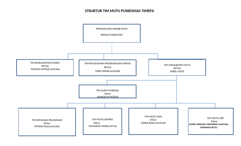 Struktur Tim Mutu Puskesmas Timepa | PDF