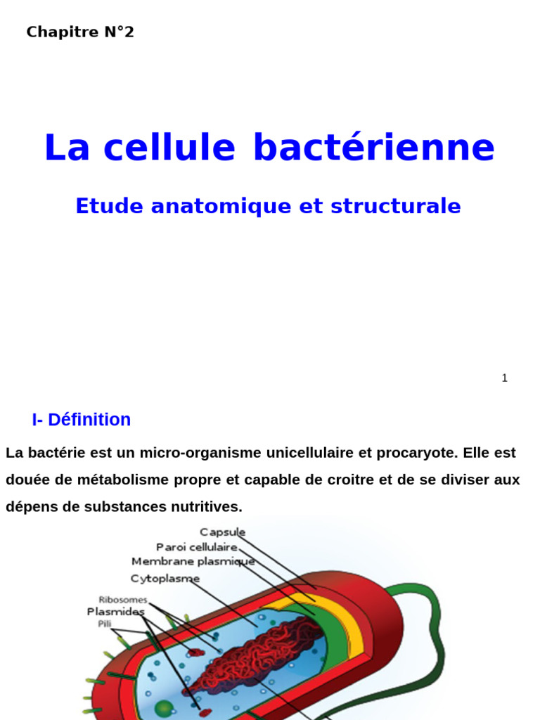Anatomie et structure des bactéries | PDF | Membrane cellulaire | Bactérie